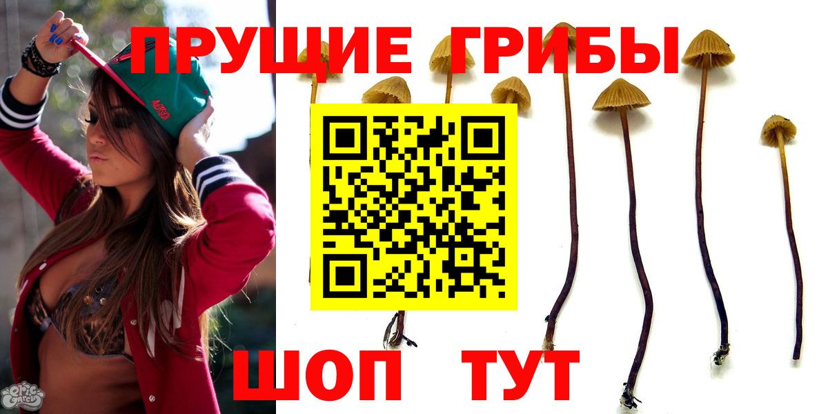 Галлюциногенные грибы прущие грибы  Вход с VPN  Карпинск 